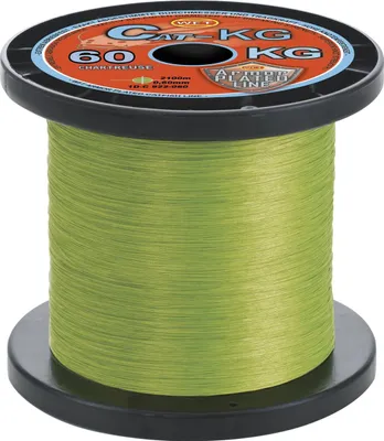 Produktbild von WFT KG Line Cat-KG Chartreuse 300m/0,60mm