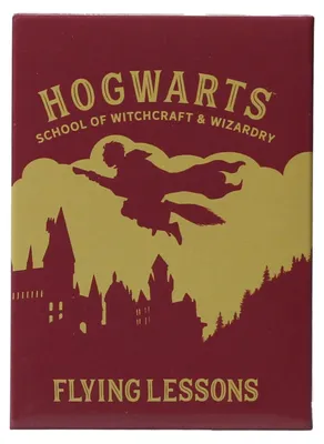 Produktbild von Harry Potter – Flugunterricht – Magnet