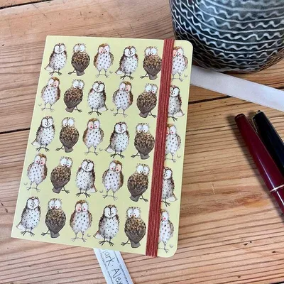 Produktbild von Notizbuch mit Radiergummi A6 SCN14 Eulen