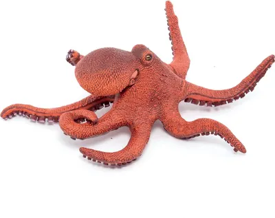 Produktbild von Papo Deutschland GmbH Kleiner Oktopus 5