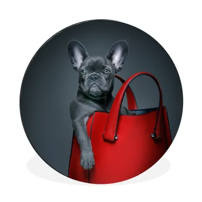 Produktbild von MuchoWow® Aluminium Wandkreis Hund - Lustig - Tasche - Kinder - Jungen - Mädchen - Kinder Ø 90 cm Wanddeko Modern Wohnzimmer - Mauerkreis - Wandbilder - Runde Bild - Bild aus Aluminium - Schlafzimmer - Wohnzimmerdekoration - Wand Dekoration