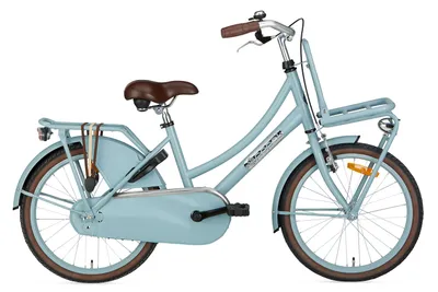 Produktbild von Daily Dutch Basic 20 Zoll 32 cm Mädchen Rücktrittbremse Mattblau