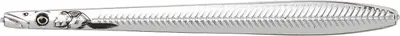 Image de Savage Gear 11cm 20g Line Thru Sandeel Nail - Flashers pour truite de mer, couleur:Silver Plating