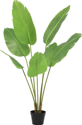 Produktbild von Kunstpflanze Strelitzia Nicolai 135cm - künstliche Paradiesvogelpflanze