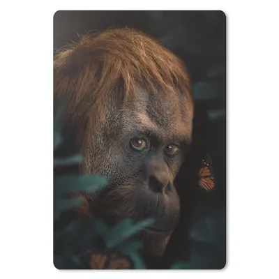 Produktbild von MuchoWow® Mauspad Mousepad Dschungel - Schmetterling - Affe 18x27 cm - Mousepads - Maus Mat - Pad - Mausunterlage