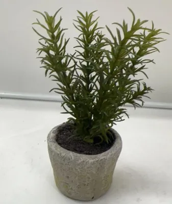 Produktbild von artplants.de Deko Rosmarin POLINDA im Dekotopf, grün, 26cm - Kunst Rosmarinpflanze