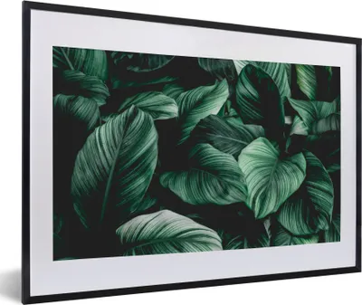 Produktbild von MuchoWow® MuchoWow® Gerahmtes Poster Dschungel - Blätter - Tropisch - Pflanzen - Natur 60x40 cm - Poster mit zchwarzem Bilderrahmen - Schlafzimmer - Plakat in Rahmen - Drucken