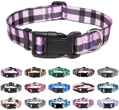 Image de Collier pour chien confortable - élégant et pratique - 1 pièce - nylon