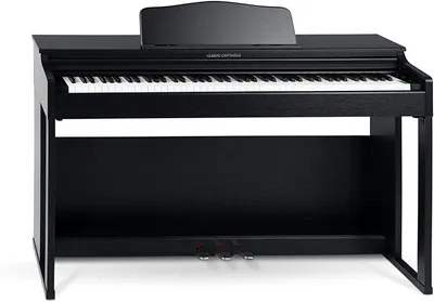 Imagen del producto de Piano digital con mecanismo de martillos - 88 teclas - 2 entradas para auriculares, USB, audio y MIDI - 3 pedales - Piano para principiantes - Color negro mate