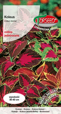 Zdjęcie produktu dla Koleus mieszanka nasion pokrzywy mix kolorów 0,1g - Torseed