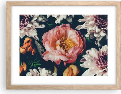 Produktbild von Gerahmtes Poster - Rahmen in heller Eiche - Blumen Pfingstrose Holzig - 40x30 cm - Wand Bild - Wanddeko - Wandbilder - Kunstposter - Wandposter - Bilderrahmen - Bilder - Kunstdruck - P2NAA40x30-4661
