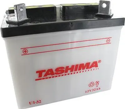 Image de Batterie Plomb Tashima Pour Tondeuse Autoportée 12v, 32a. L: 196, L: 131, H:184mm, + à Gauche. (livrée Sans Acide). - Batterie à