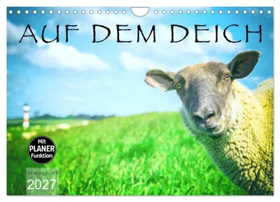 Produktbild von AUF DEM DEICH (Wandkalender 2027 DIN A4 quer), CALVENDO Monatskalender