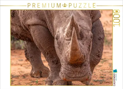 Produktbild von CALVENDO Puzzle Konfrontation | 1000 Teile Lege-Größe 64x48cm Foto-Puzzle für glückliche Stunden
