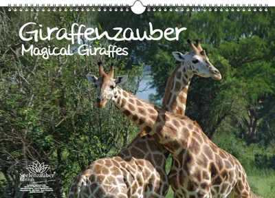 Produktbild von Giraffenzauber Immerwährender Kalender DIN A3 Giraffen - Seelenzauber