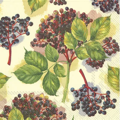 Produktbild von ELDERBERRY cream Lunch-Servietten L 786960