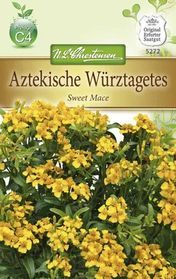 Produktbild von Aztekische Würztagetes | Studentenblumensamen von N.L. Chrestensen