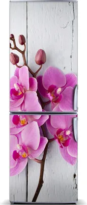 Produktbild von Tulup Kühlschrankdekoration - Magnetmatte - 70 cm x 190 cm - Magnet auf dem Kühlschrank - Orchidee