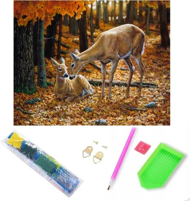 Zdjęcie produktu dla RealG RC-K-179 Malowanie diamentowe na ramie 5D, 30 x 40 cm, sarny