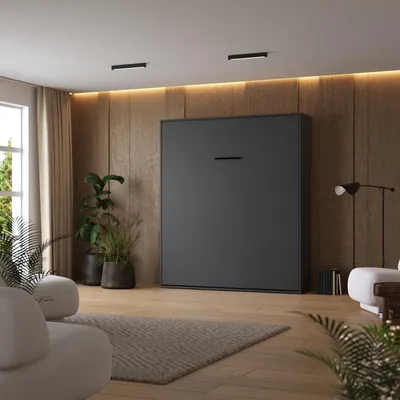 A modern living room with a murphy bed, furniture, and plants.