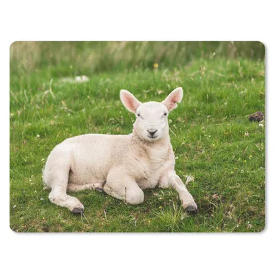 Produktbild von MuchoWow® Mauspad Mousepad Schafe - Tiere - Lamm 23x19 cm - Mousepads - Maus Mat - Pad - Mausunterlage - Schreibtischunterlage - Mauspad