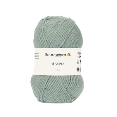 Immagine prodotto di Schachenmayr Bravo, filati per lavoro a mano da 50 g, colore verde mare