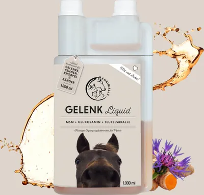 A bottle of Gelenk Liquid with splashes of liquid and ingredients around it.