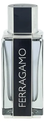 Obrázek produktu pro Salvatore Ferragamo Ferragamo, Pánské, 100 ml, Nedoplnitelná lahvička, Bergamot, Citrón, Šalvěj lékařská, Kůže, Fialka, Fialka (list), Kůže, Pižmo, Větvičník slívový, Vetiver