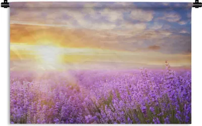 Produktbild von MuchoWow® Wandteppich Wandbehang Lavendel - Sonne - Himmel - Natur 60x40 cm Tapisserie Dekoration Wandtuch - Wanddekorationen