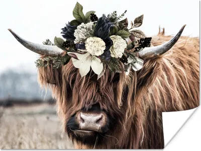 Produktbild von MuchoWow® Poster Schottische Highlander - Blumen - Hoorn 160x120 cm - Foto Plakat