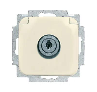 Produktbild von Busch-Jaeger 20 EUKSL-212-101 SCHUKO® Steckdosen-Einsatz, mit Klappdeckel weiß