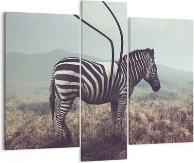 Produktbild von Bild auf Leinwand - Leinwandbild - Zebra Tier Wiese - 95x80cm - Wand Bild - Wanddeko - Wandbilder - Leinwanddruck - Bilder - Kunstdruck - Wanddekoration - Leinwand bilder - Wandkunst - CB95x80-3959