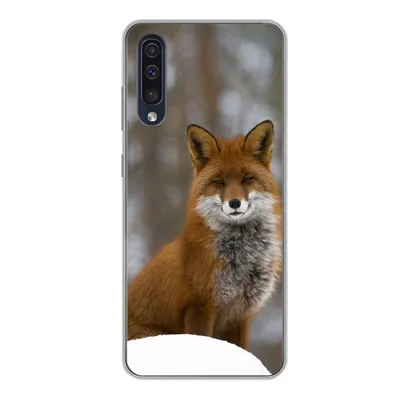 Produktbild von MuchoWow® Handyhülle Schutzhülle Hülle für Samsung Galaxy A50 Fuchs - Wald - Rot Silikon Softcase Handy Hülle - Mobiltelefonhülle