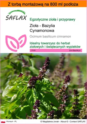 Zdjęcie produktu dla SAFLAX - Garden in the bag - Zioła - Bazylia Cynamonowa - 200 Nasiona - Z podłożem uprawowym w praktycznej, samorozkładającej się torbie - Ocimum basilicum cinnamon