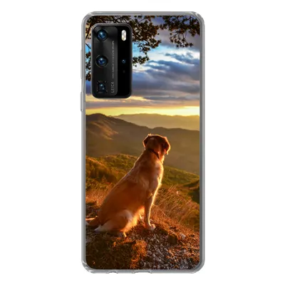 Produktbild von MuchoWow® Handyhülle Schutzhülle Hülle für Huawei P40 Pro Ein Golden Retriever beobachtet den Sonnenuntergang Silikon Softcase Handy Hülle - Schutz