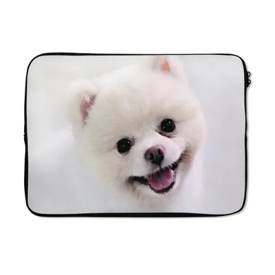 Produktbild von MuchoWow® Laptop Hülle 14 ZollPomeranian Nahaufnahme Laptoptasche - Laptoptasche - Stoßsicher - Schutzhaube