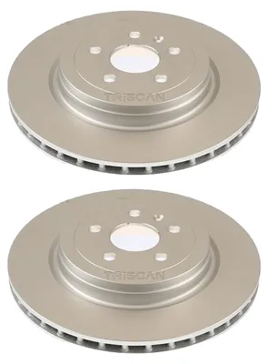 Image de 2 disques de frein TRISCAN 8120 81002C