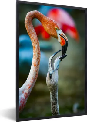 Produktbild von MuchoWow® MuchoWow® Gerahmtes Poster Flamingos - Vögel - Porträt 30x40 cm - Poster mit zchwarzem Bilderrahmen - Wanddeko - Kunstdrucke
