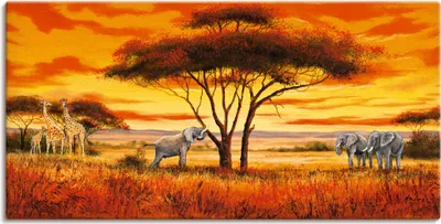 Produktbild von ARTland Leinwandbild Afrikanische Landschaft II Größe: 100x50 cm