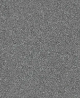 Produktbild von PRO C355 Schleifrolle, 230 x 280 mm, 120