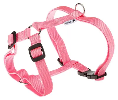 Obrázok produktu pre Postroj CHAMPION P L pink FP 1ks
