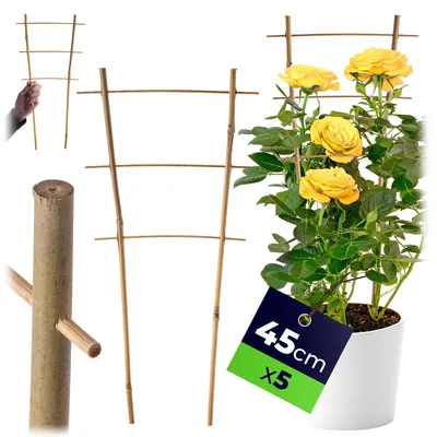 Zdjęcie produktu dla KADAX Pergola Podpora Drabinka Bambusowa 45 cm 5 szt