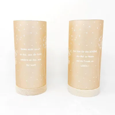 Produktbild von 2er Set LED Tischlampen Pusteblume mit Spruch H. 20cm apricot mit Timer Formano