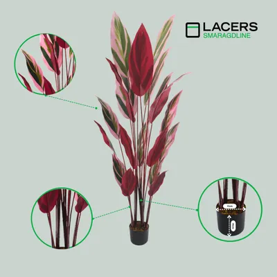 Produktbild von Lacers SMARAGDLINE künstliche Calathea Pflanze- Korbmarante im Topf 190cm - Dekoration / realistische Optik, für Wohnzimmer, Balkon und Büroräume