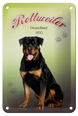 Produktbild von Blechschild Hund 12x18cm Rottweiler Deutschland 1850