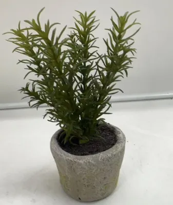 Obrázek produktu pro Dekorativní rostlina - Umělá rostlina - Interiérová dekorace - S květináčem - 26 cm - Zelená
