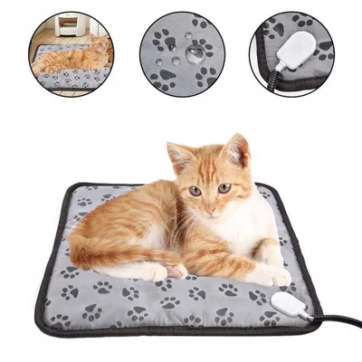 A ginger cat lying on a heated pet mat.