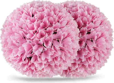 Image de Lot de 2 boules de buis, boules décoratives résistantes aux UV, plante artificielle topiaire, plante décorative, diamètre 28 cm, rose