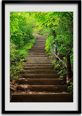 Produktbild von Bild - Bilderrahmen - 50 cm x 70 cm - MDF - Rahmen - Wandkunst Treppen in den Wald
