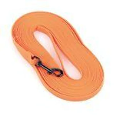 Produktbild von SwissPet Schleppleine NEON 6m/10m mit stabilem Karabiner für Hundeerziehung & kontrollierten Freilauf